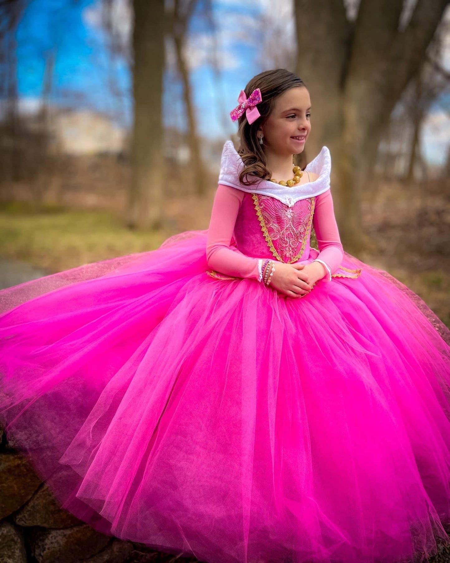 Once Upon A Dream
