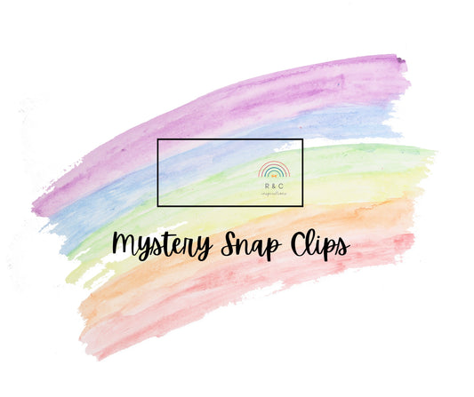 Mystery Snap Clip Set